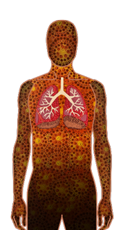 Strong Lungs figure png_1